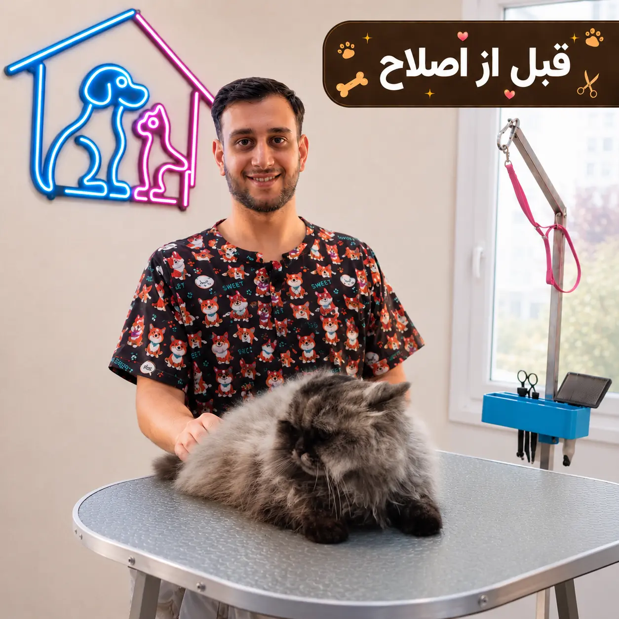 قبل از اصلاح گربه